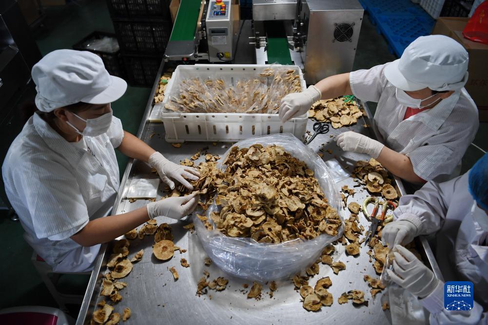 澳门新机游戏网站